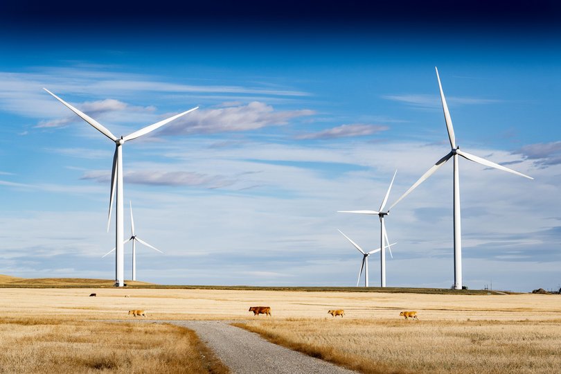 2KDJ40F Windmills standing tall producing renewable energy on an agriculture field with cows near Pincher Creek Alberta Canada.
